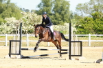 SBM_007318