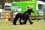 SBM_08542