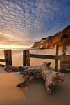 z1216 Shanklin Beach