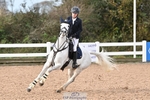 Cls 14s A&B BC Pony Newc & 1.00m Open portfolio