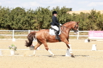 SBM_019256