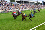 250726-Race 5-Rogue Jewel-1084