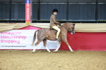 SBM_12409