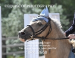BPP_8668