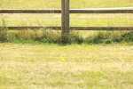 SBM_002928