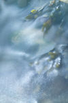 IMGL8567_2