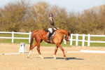 SBM_003439