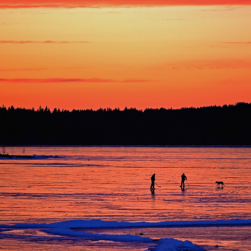 Two pals pass the puck along the frozen Kennebecasis as their four-legged friend looks on.