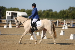 SBM_012703