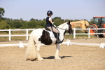 SBM_006568