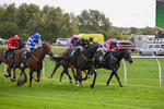 171026-Race 4-Woodstock-5721