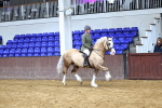 SBM_003506