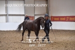 BPP_2877