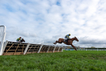 161125-Race 1-Astelia-2904