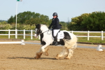 SBM_006984