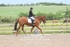 BPP_9333