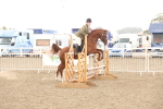 SBM_07586