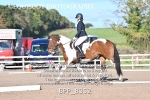 BPP_8352