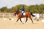 SBM_018569