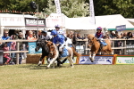 SBM_16677