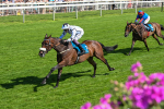 120725-Race 4-Al Qareem-5801