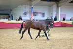 SBM_16178
