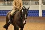 Class 21 - BSHA Ridden Show Cob portfolio