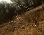 20130113-_MG_1440
