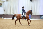 SBM_007241