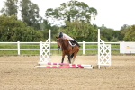 SBM_001640