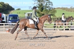 BPP_8722