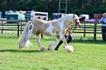 SBM_10182