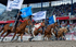 3HRodeo7-22-25_CFD_00972_