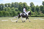 WJ6_7847