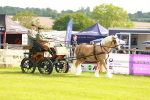 SBM_00253