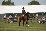 SBM_06897