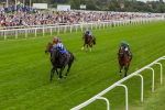 230823-Race 4-Mostahdaf-4284