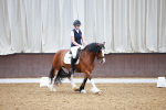 SBM_000505