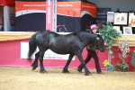 SBM_04170