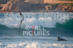 Vazon Surfing_27-02-2021-135