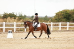 SBM_000628