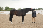 SBM_07675