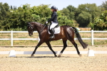 SBM_010459