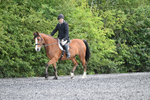 Lyford Dressage 03-08-24 portfolio