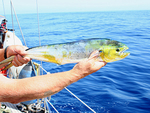 060930 First Catch