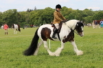 SIAL3246