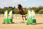 SBM_007700