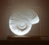 Ammonite