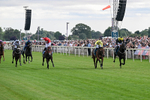 250726-Race 5-Rogue Jewel-7536