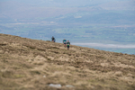Black Combe-1165